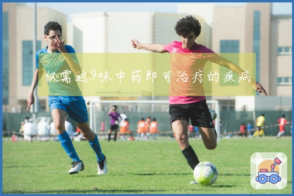 仅需这9味中药即可治疗的疾病