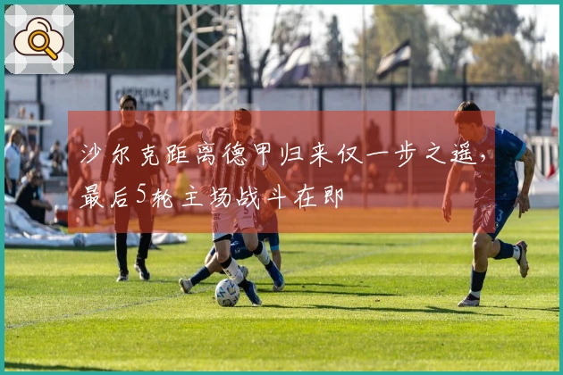沙尔克距离德甲归来仅一步之遥，最后5轮主场战斗在即