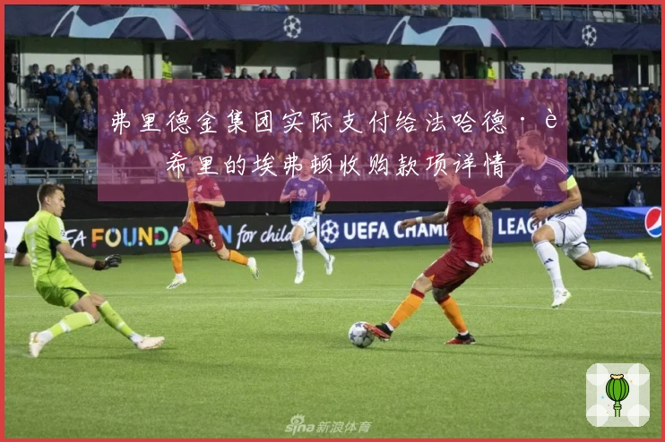 弗里德金集团实际支付给法哈德·莫希里的埃弗顿收购款项详情